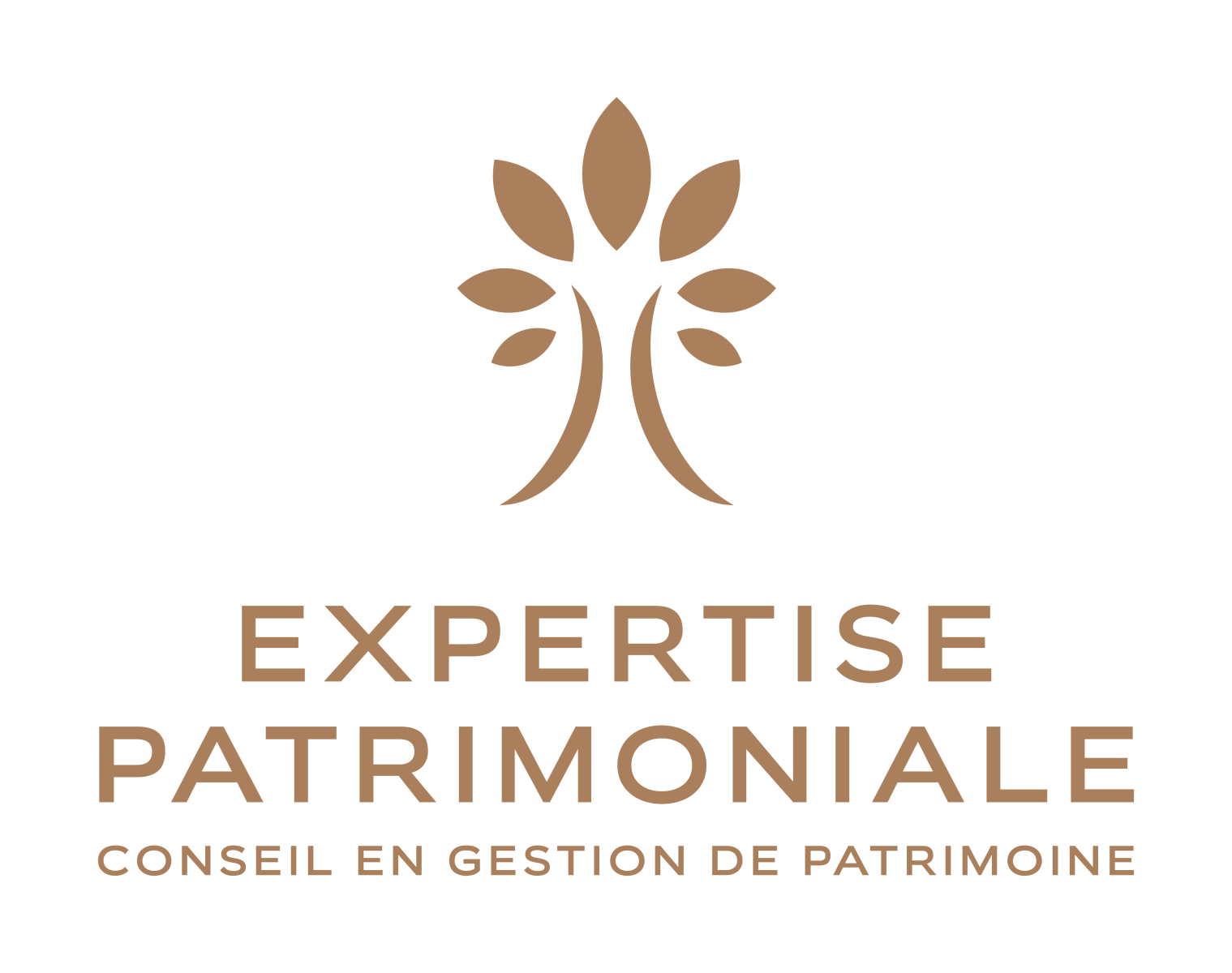 Logo minisite