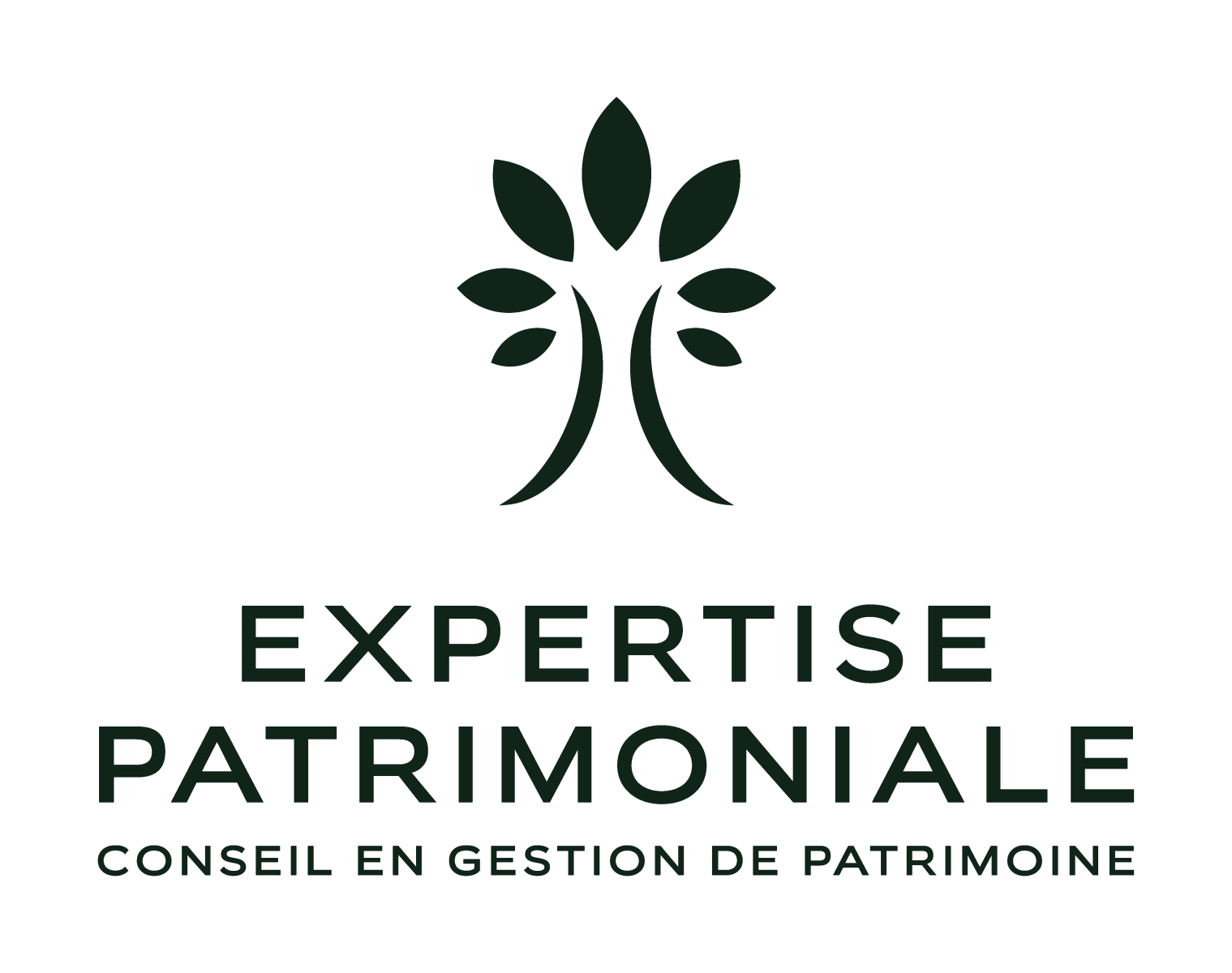 Logo minisite